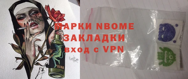 ГАЛЛЮЦИНОГЕННЫЕ ГРИБЫ Ельня