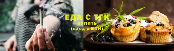 гидра Заводоуковск