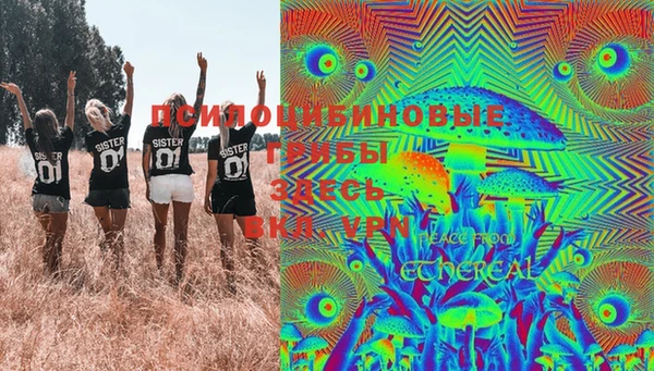 дмт Елизово