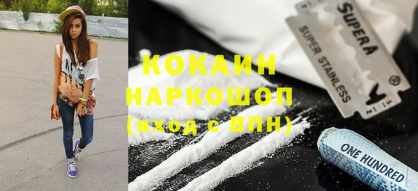 гидра Заводоуковск